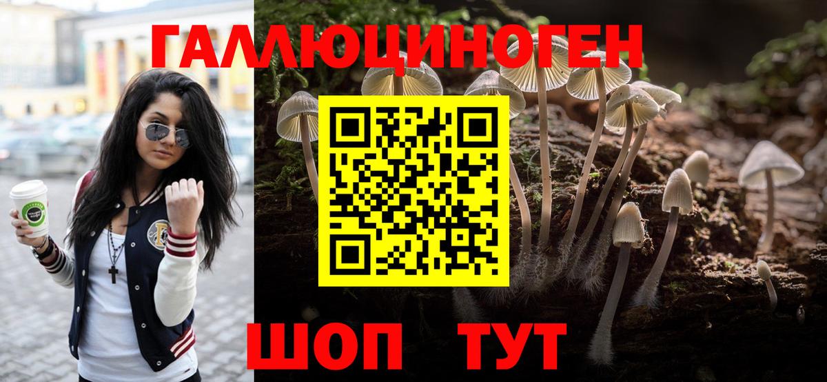 Псилоцибиновые грибы Psilocybine cubensis  Вход с VPN  Новодвинск 